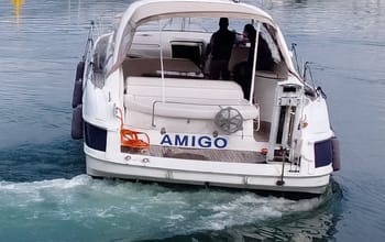 Amigo