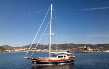Carpe Diem Coral