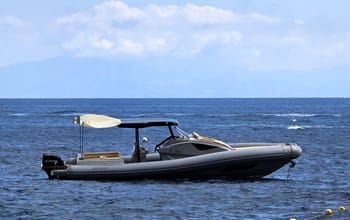 Black Shark