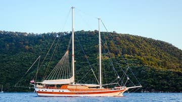Gulet Wicked Felina available for yacht charter in Turkey | Yacht4Less