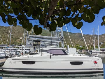 Catamaran Scarlet Ibis charter rental in BVI | Yacht4Less