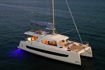Catamaran Ptarmigan charter rental in Bahamas | Yacht4Less
