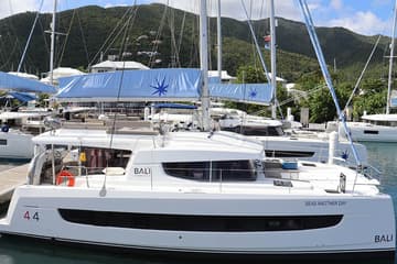 Catamaran Seas Another Day charter rental in BVI | Yacht4Less