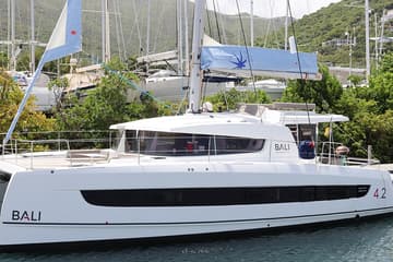 Catamaran Dorothea available for yacht charter in BVI | Yacht4Less