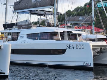 Catamaran Sea Dog charter rental in BVI | Yacht4Less