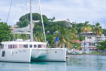 Catamaran Pura Vida charter rental in Caribbean | Yacht4Less