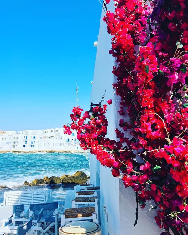 Seaside café with vibrant bougainvillaea on a whitewashed wall overlooking the turquoise waters and white Cycladic houses in the Small Cyclades, Greece.