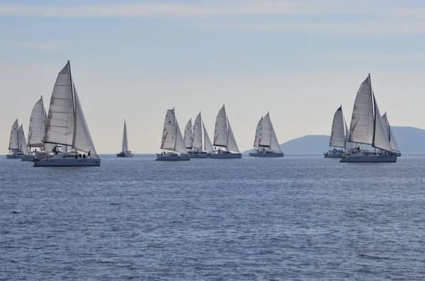 yachts and catamarans sailing representing a pattern of yacht charter market trends
