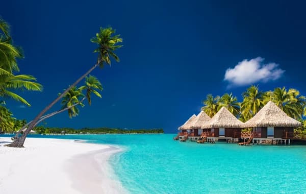 Overwater bungalows surrounded by turquoise waters and palm trees on a white sandy beach, showcasing the tropical paradise of sailing holidays in French Polynesia.