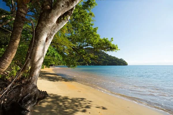 A tranquil beach in Madagascar with golden sand, lush green trees, and calm turquoise waters, highlighting the serene beauty of sailing holidays in this exotic destination.