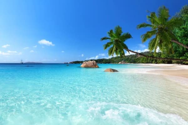 A tropical beach in Seychelles with turquoise waters, granite boulders, and palm trees under a clear blue sky, capturing the idyllic setting of sailing holidays in this paradise destination.