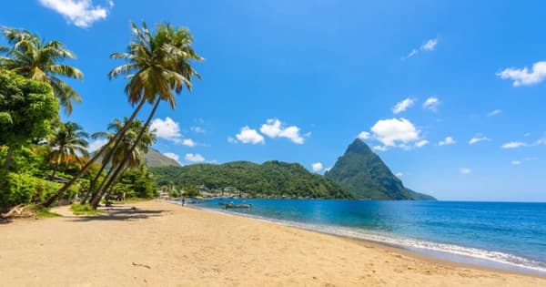 A stunning beach in Saint Lucia with golden sand, leaning palm trees, and a view of the iconic Pitons, highlighting the breathtaking scenery of sailing holidays in the Caribbean.