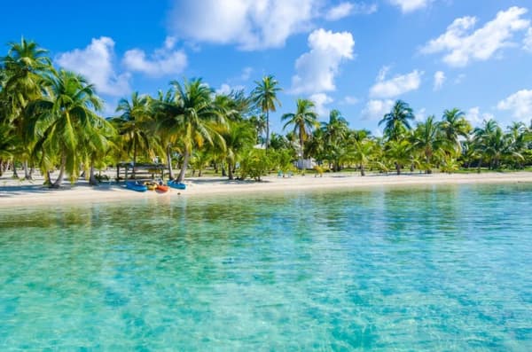 A tropical beach in Belize with palm trees, turquoise waters, and kayaks on the shore, showcasing the serene beauty of sailing vacations in this Caribbean paradise.