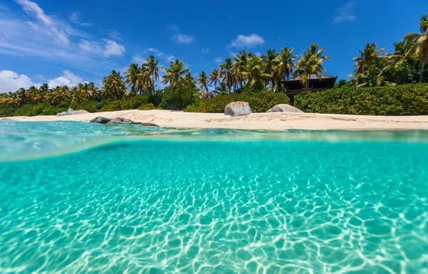 Clear turquoise waters and a pristine sandy beach with palm trees in the British Virgin Islands, capturing the idyllic scenery of sailing vacations in this tropical paradise.